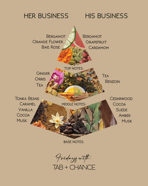 FRIDAYS WITH TAB & CHANCE THEIR BUSINESS EDP TRAVELER SET