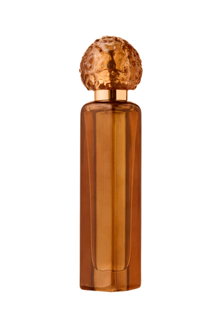 FRIDAYS WITH TAB AND CHANCE TRAVELER - HER BUSINESS