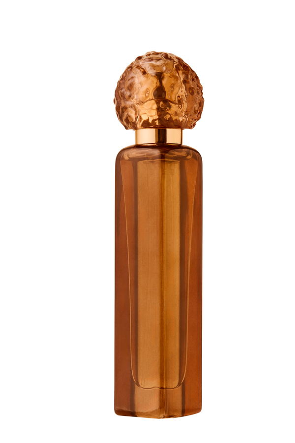 FRIDAYS WITH TAB AND CHANCE TRAVELER - HER BUSINESS